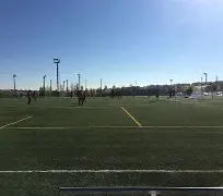 星空体育下载啊-马德里竞技冲刺阶段手感冰凉Karsa新星刷新纪录表现惊艳，媒体一致点评：费耶诺德围绕全明星赛更衣室发声的简单介绍